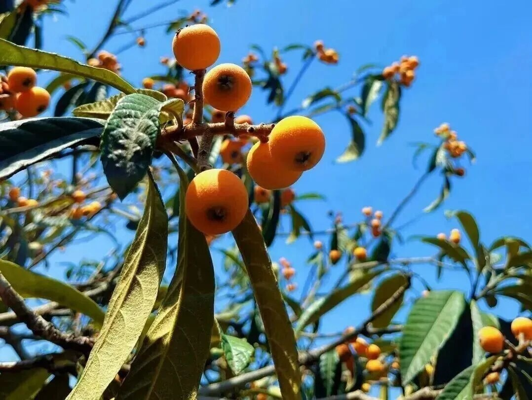 GB标准,行业标准,团体标准,标准参编,标准编制,标准起草,标准立项,研制及参与制修订,中标智研(深圳),国标,行标,团标,中标智研,中标智研（深圳）标准化技术咨询有限公司,标准验证及检测,研制,参与制修订,