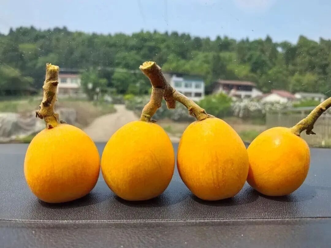 GB标准,行业标准,团体标准,标准参编,标准编制,标准起草,标准立项,研制及参与制修订,中标智研(深圳),国标,行标,团标,中标智研,中标智研（深圳）标准化技术咨询有限公司,标准验证及检测,研制,参与制修订,